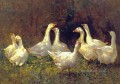 Floral Dance geese